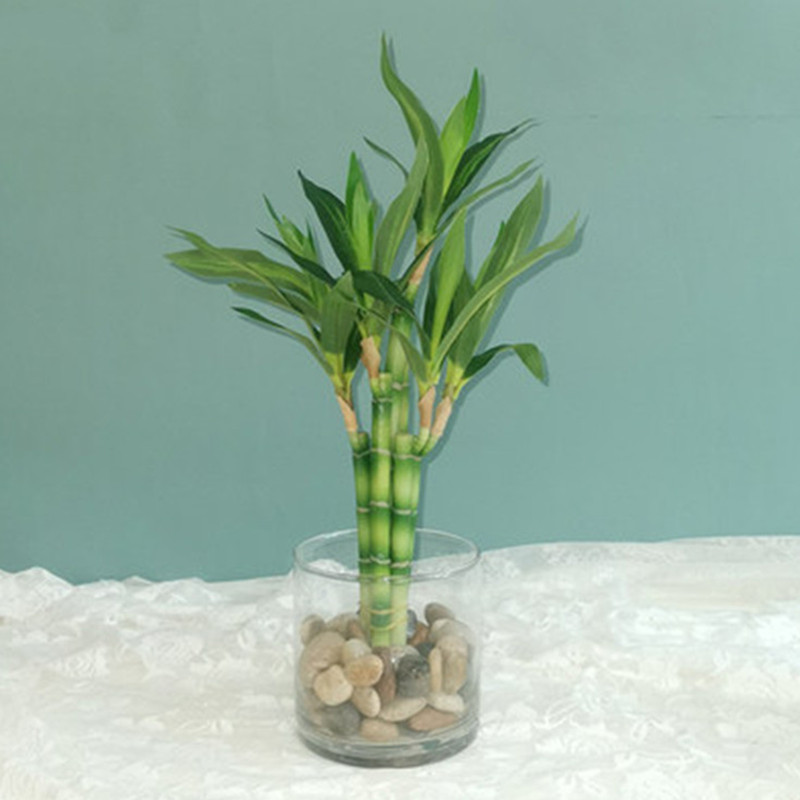 Echeveria Succulent - Nieuwe 40 cm rFtificial Lucky Bamboe