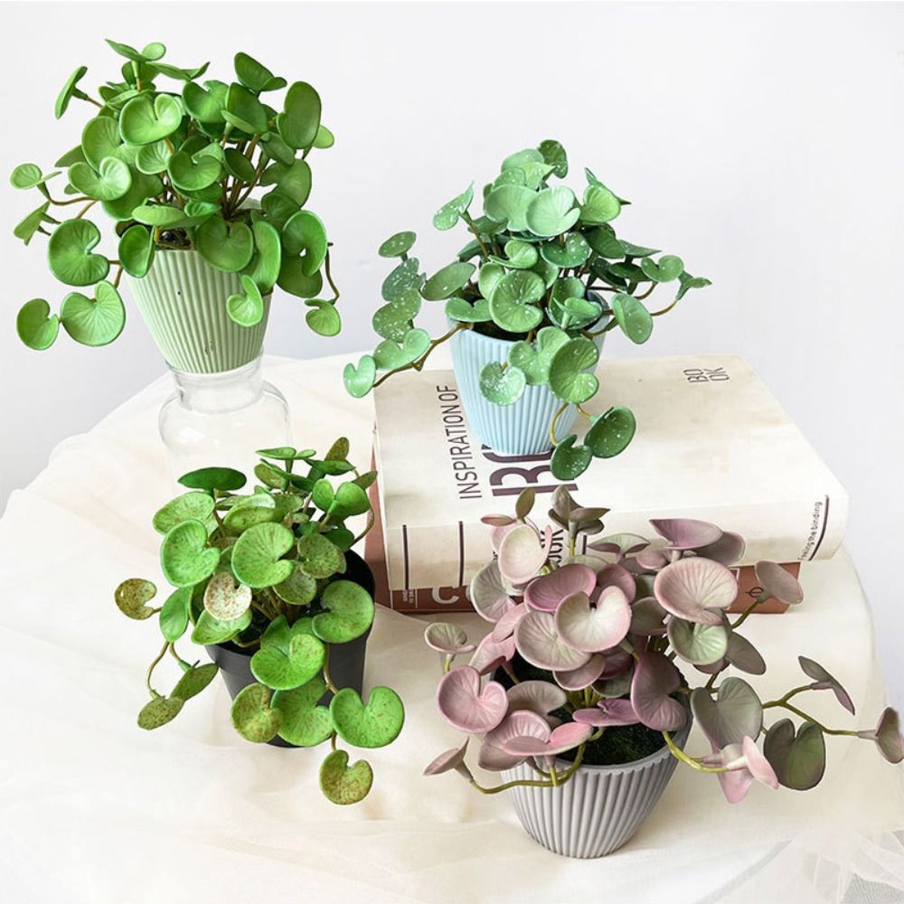 Echeveria Succulent - Zachte lijm Kunstplant EVA Groene vetplanten