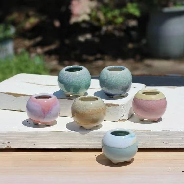 Echeveria Succulent - 6 Stuks Mini Bloempot Vetplanten Kleine