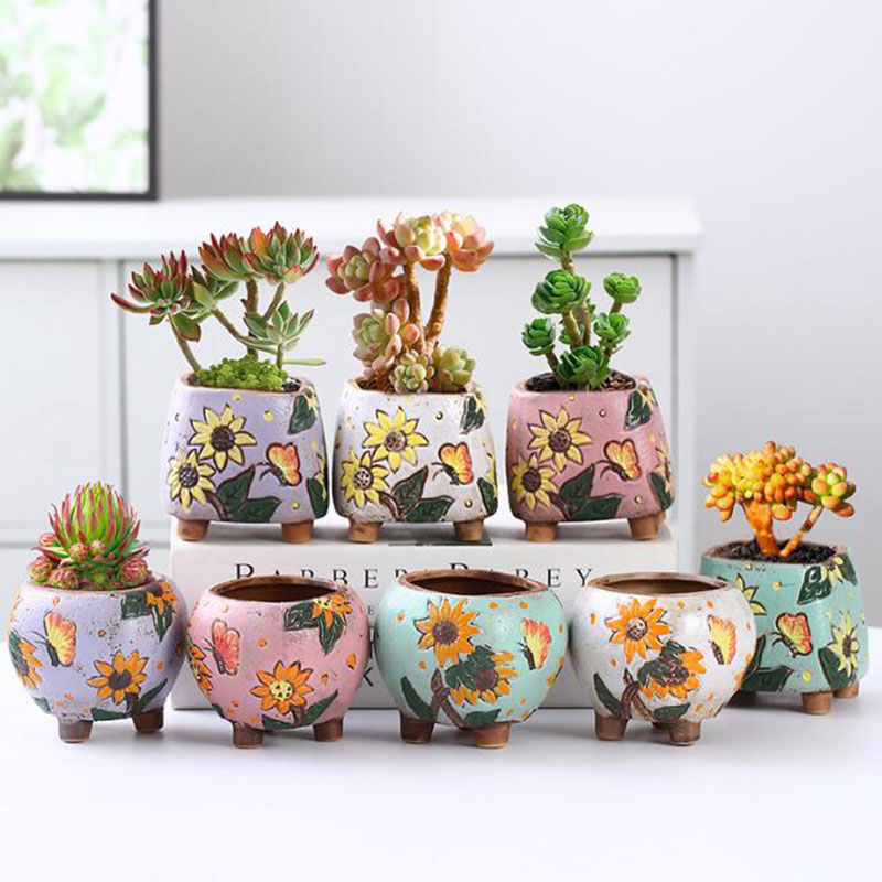 Koreaanse stijl zonnebloempatr - Echeveria Succulent recensie en prijs