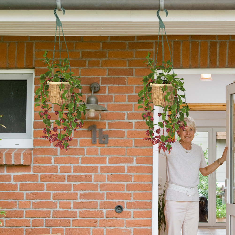 5-delige set hangende plantenh - Spider Plant Hanging recensie en prijs