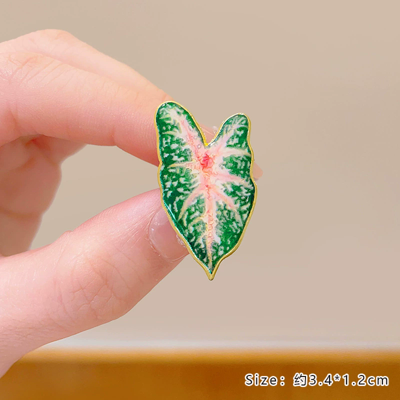 Potplant Broche Monstera Aloë  - Aloe Vera Pot recensie en prijs