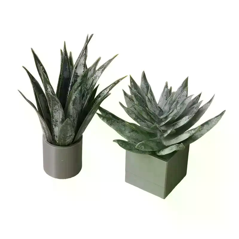Miniatuur Aloë Vera Potplant O - Aloe Vera Pot recensie en prijs