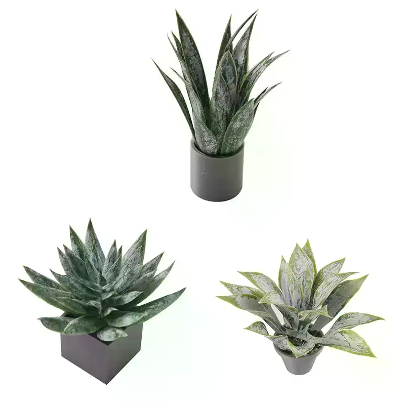 Miniatuur Aloë Vera Potplant O - Aloe Vera Pot recensie en prijs