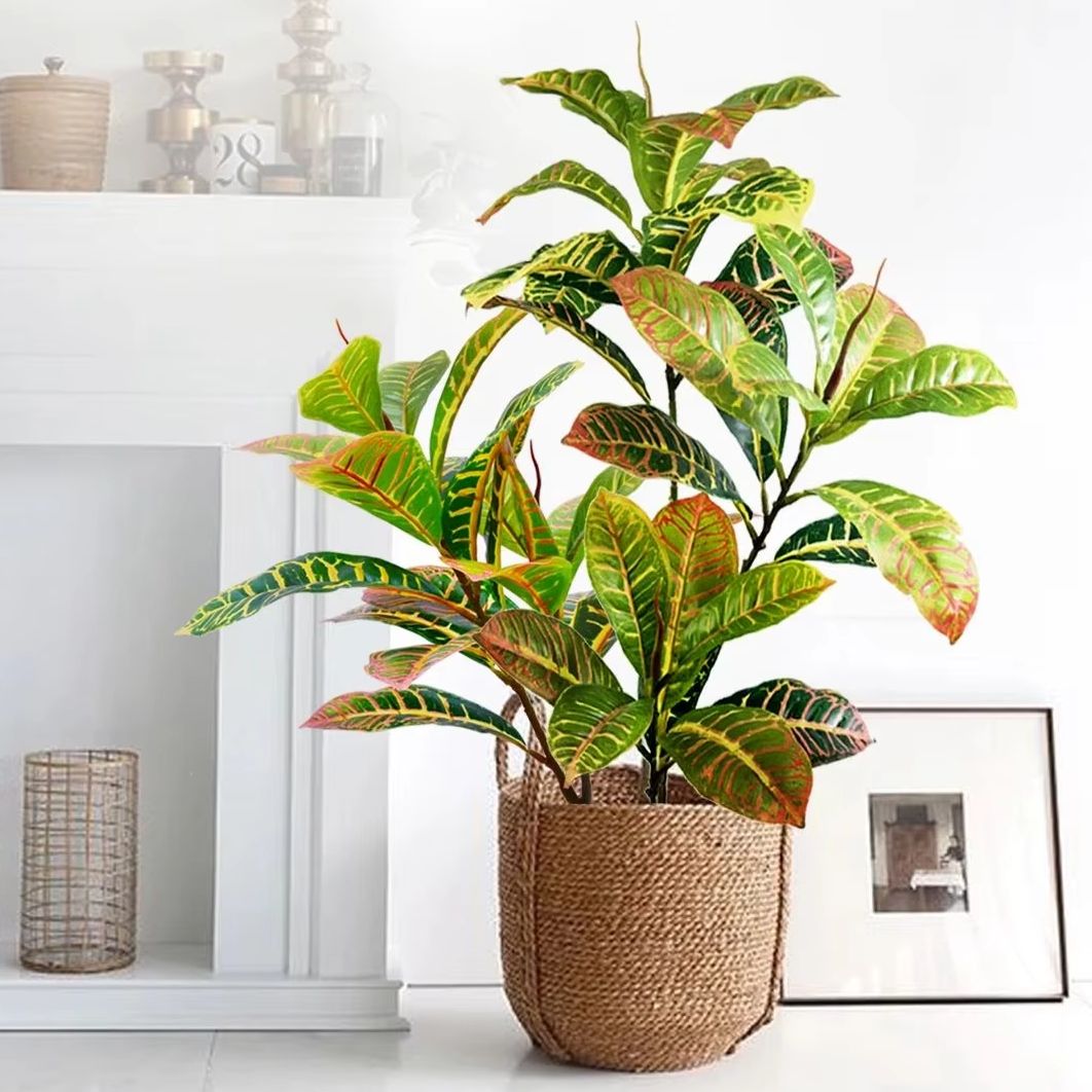 21-120 cm Kunstmatige Plant Ne - Dracaena Marginata recensie en prijs