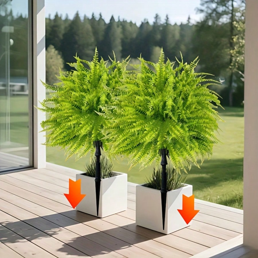 2 stuks - 44cm Varen Grondinse - Dracaena Marginata recensie en prijs