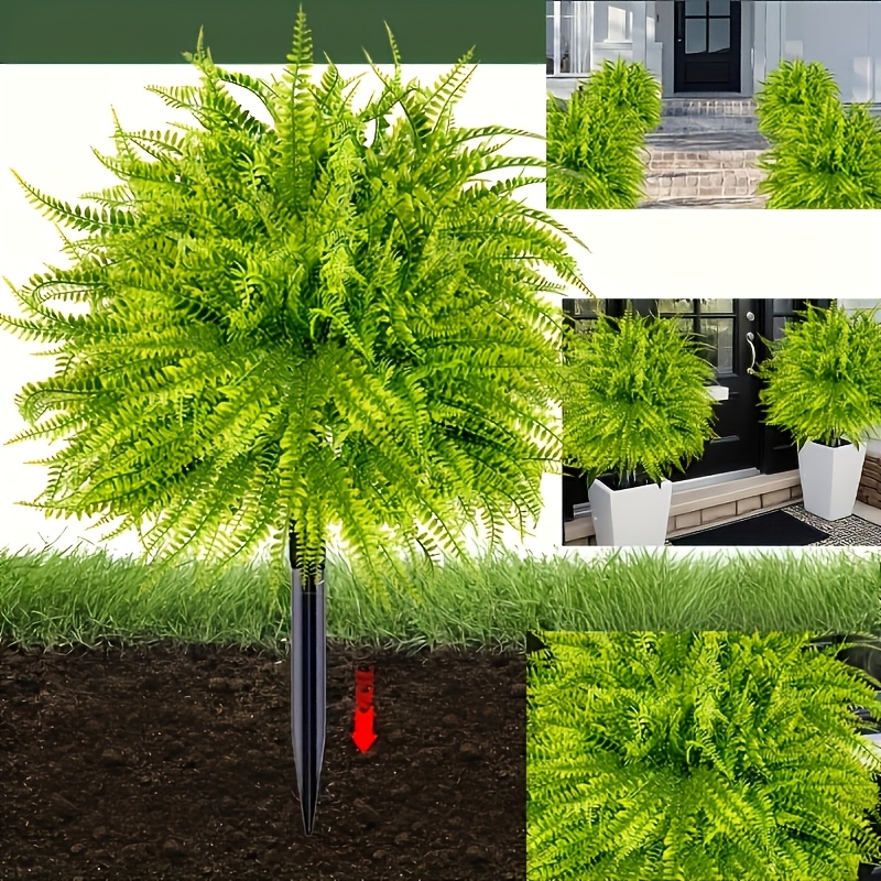 2 stuks - 44cm Varen Grondinse - Dracaena Marginata recensie en prijs