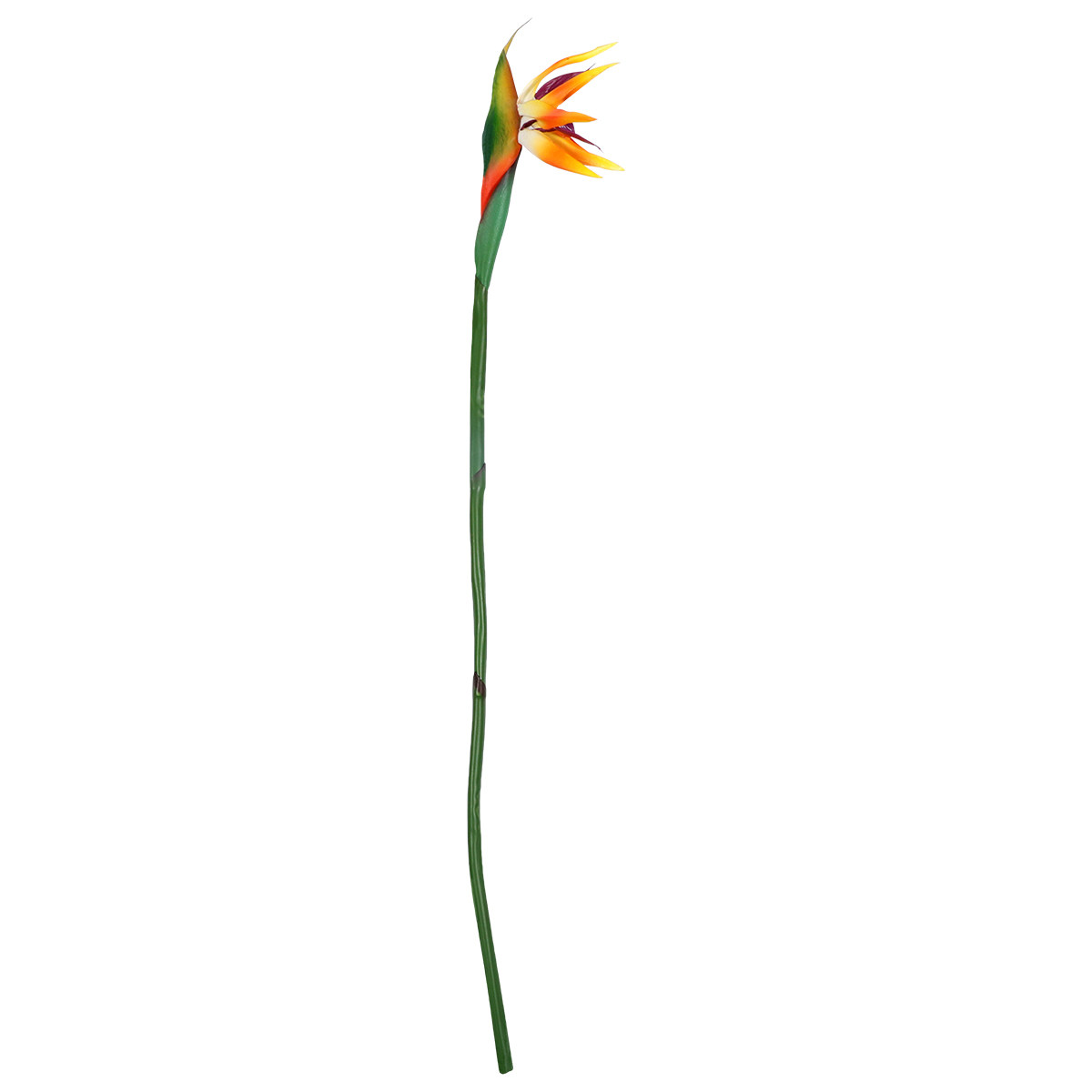 Kunstmatige Strelitzia Bloem R - Bird Paradise Strelitzia recensie en prijs
