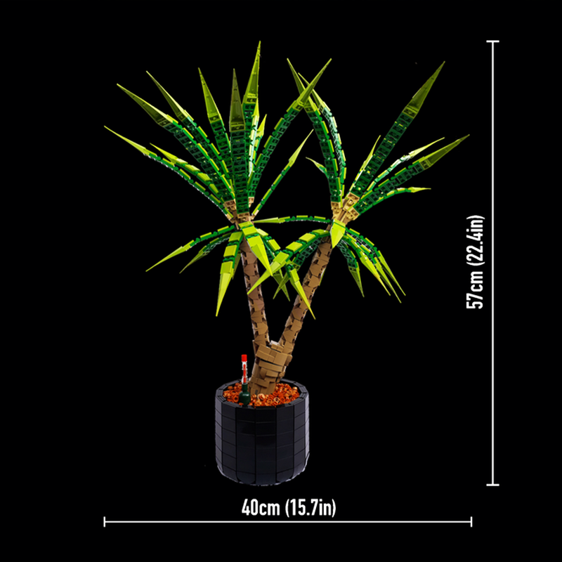 1961 stukjes MOC Dracaena Marg - Dracaena Marginata recensie en prijs