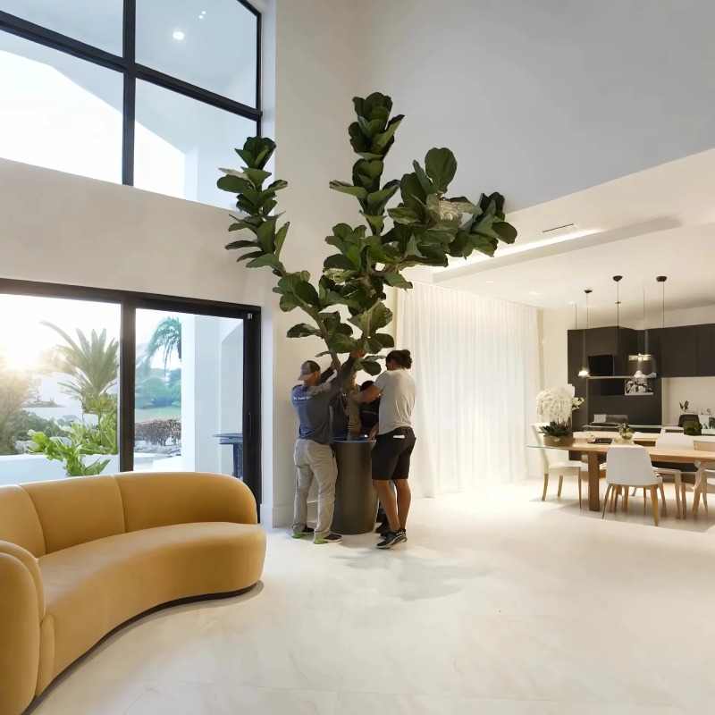 Kunstplanten Binnenpotplant Ku - Ficus Lyrata Tree recensie en prijs
