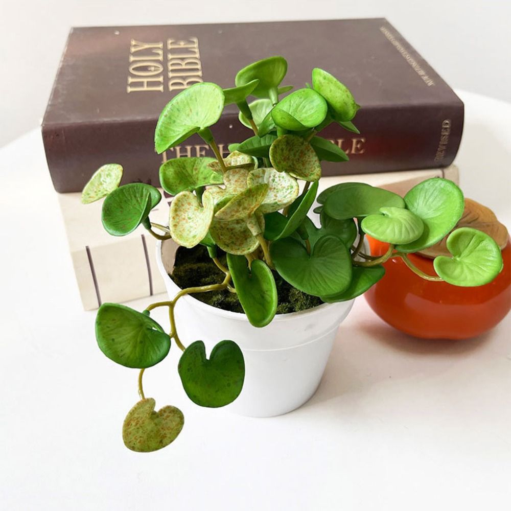 Zachte lijm Kunstplant EVA Gro - Echeveria Succulent recensie en prijs