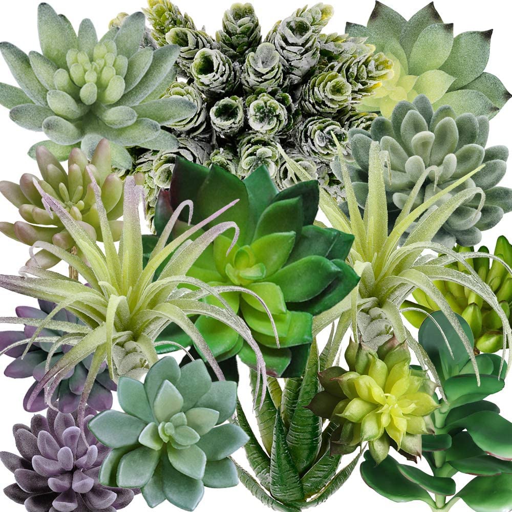 15 stuks geassorteerde kunstma - Echeveria Succulent recensie en prijs