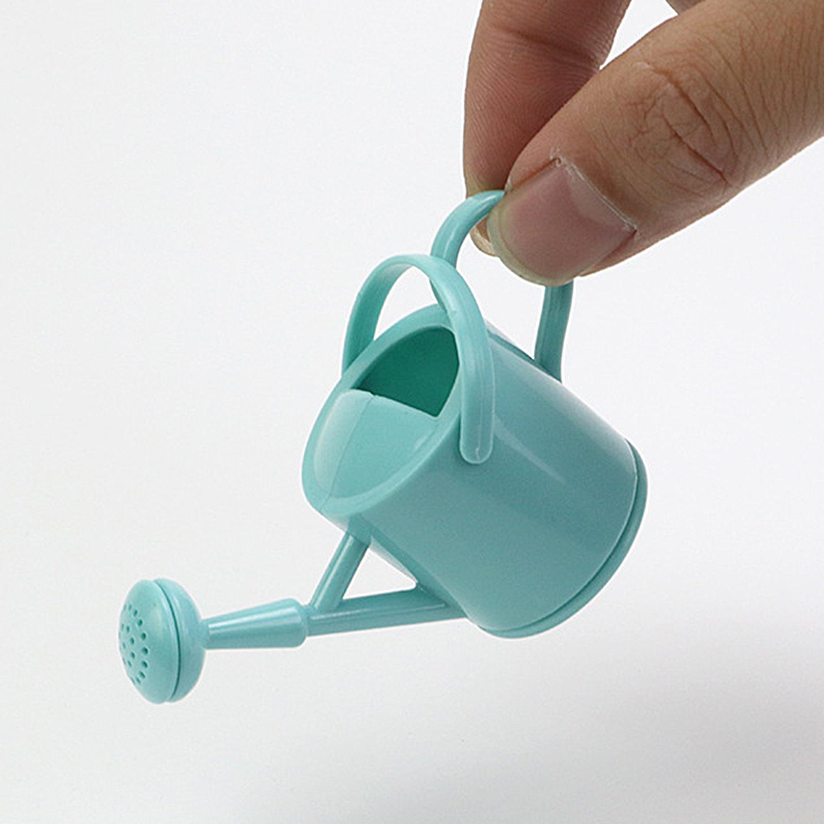 Kleine kindergieter, flexibele - Echeveria Succulent recensie en prijs